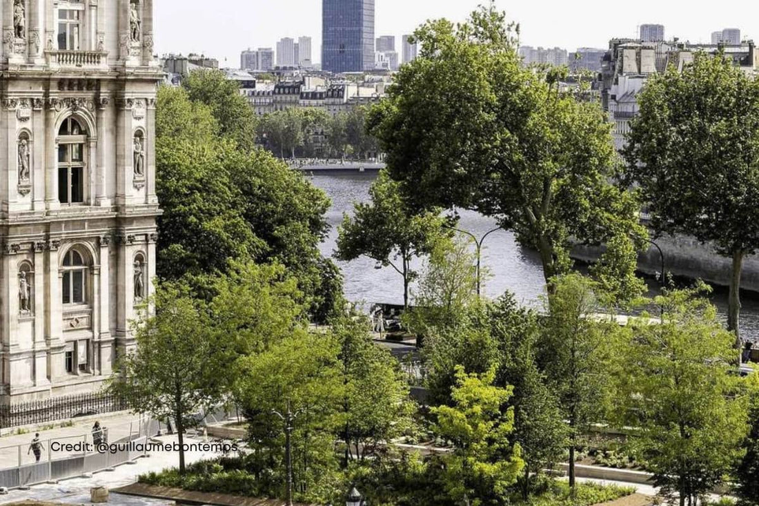 @guillaumebontemps urban forest parvis hôtel de ville