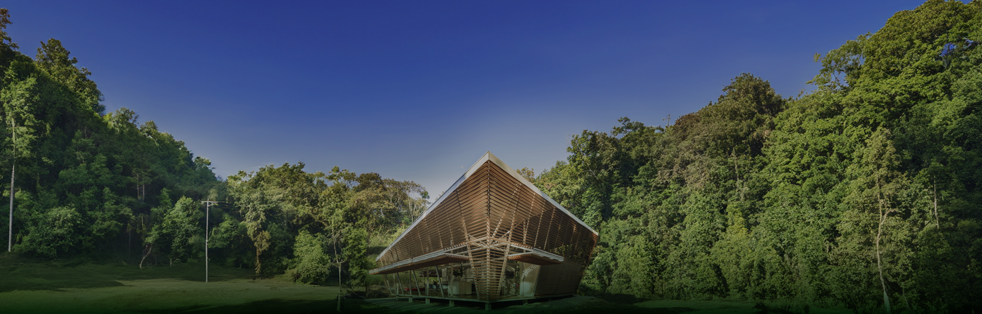 EcoHappy slide background